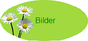 Bilder